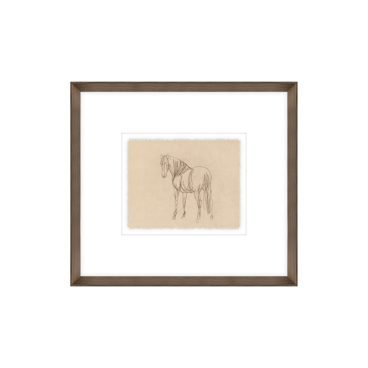 Equine Sketch