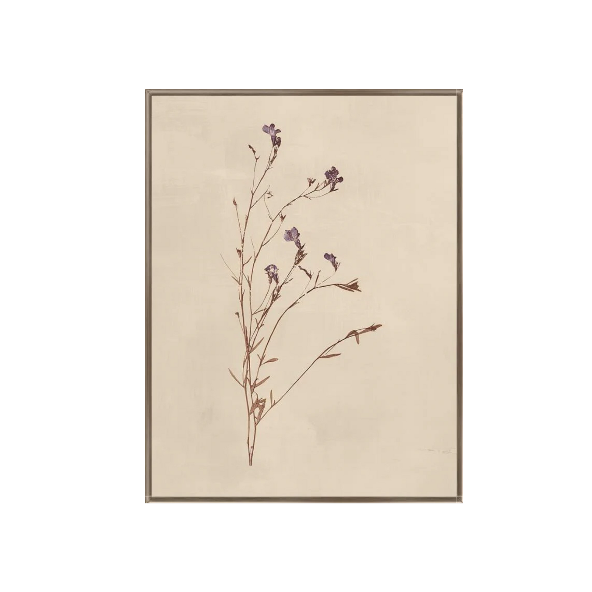 Garden Floral