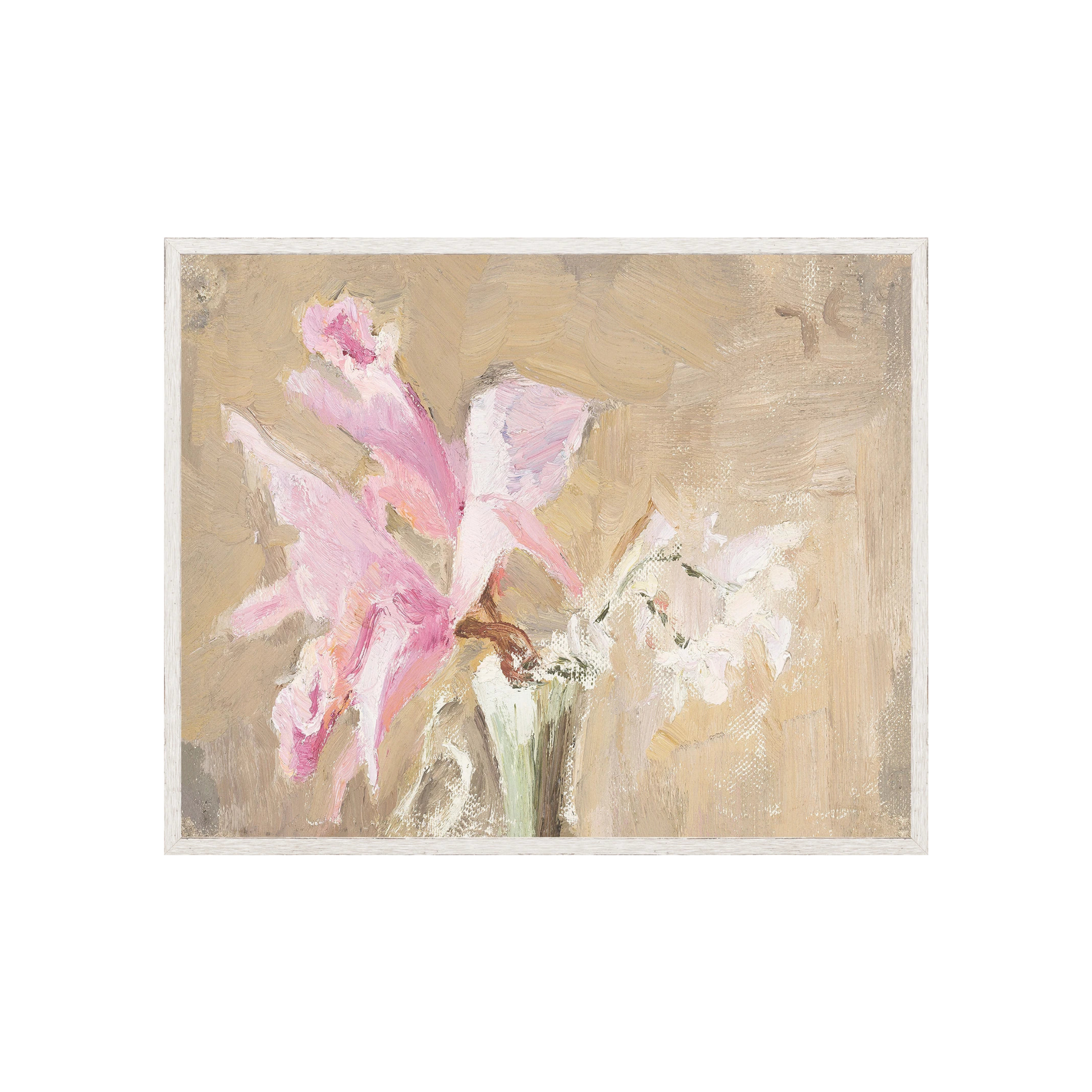 Pink Orchid