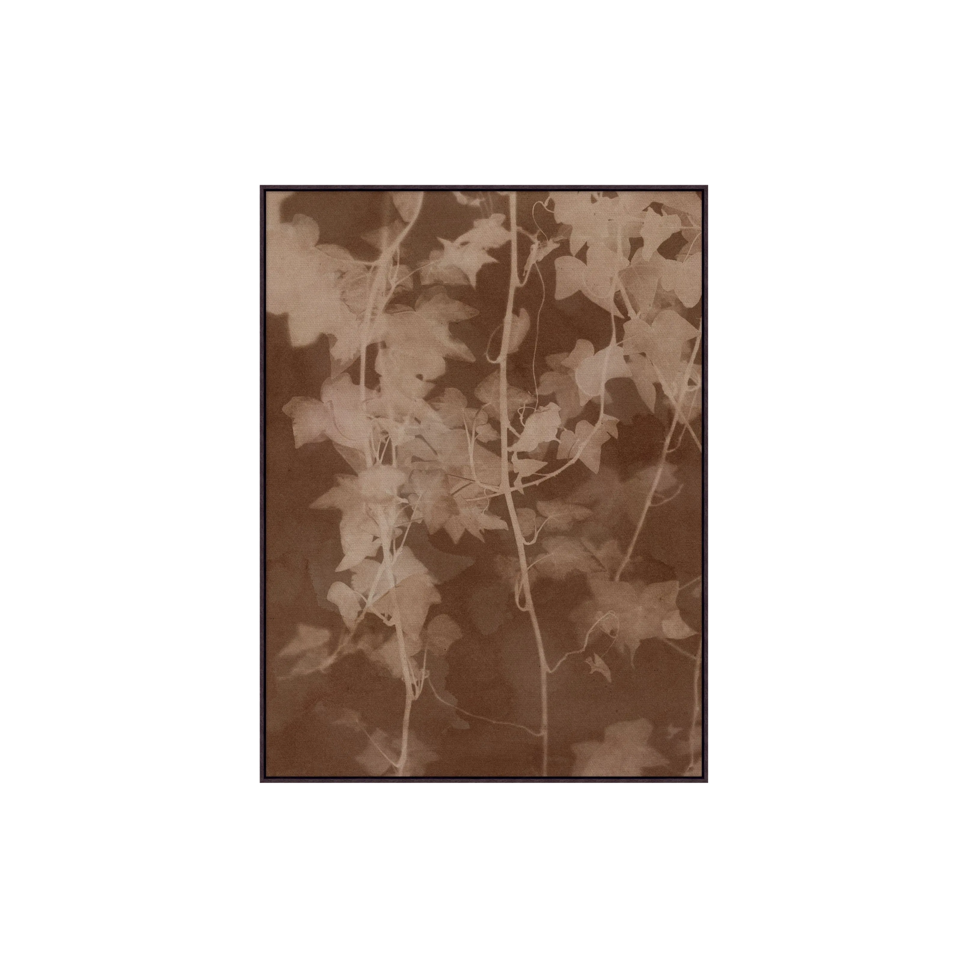 Shady Oak