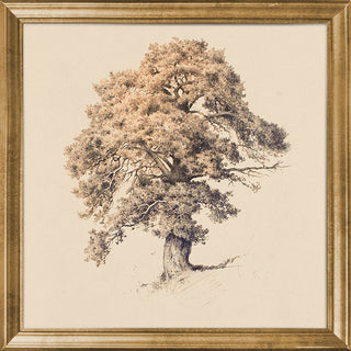 Vintage Tree Study