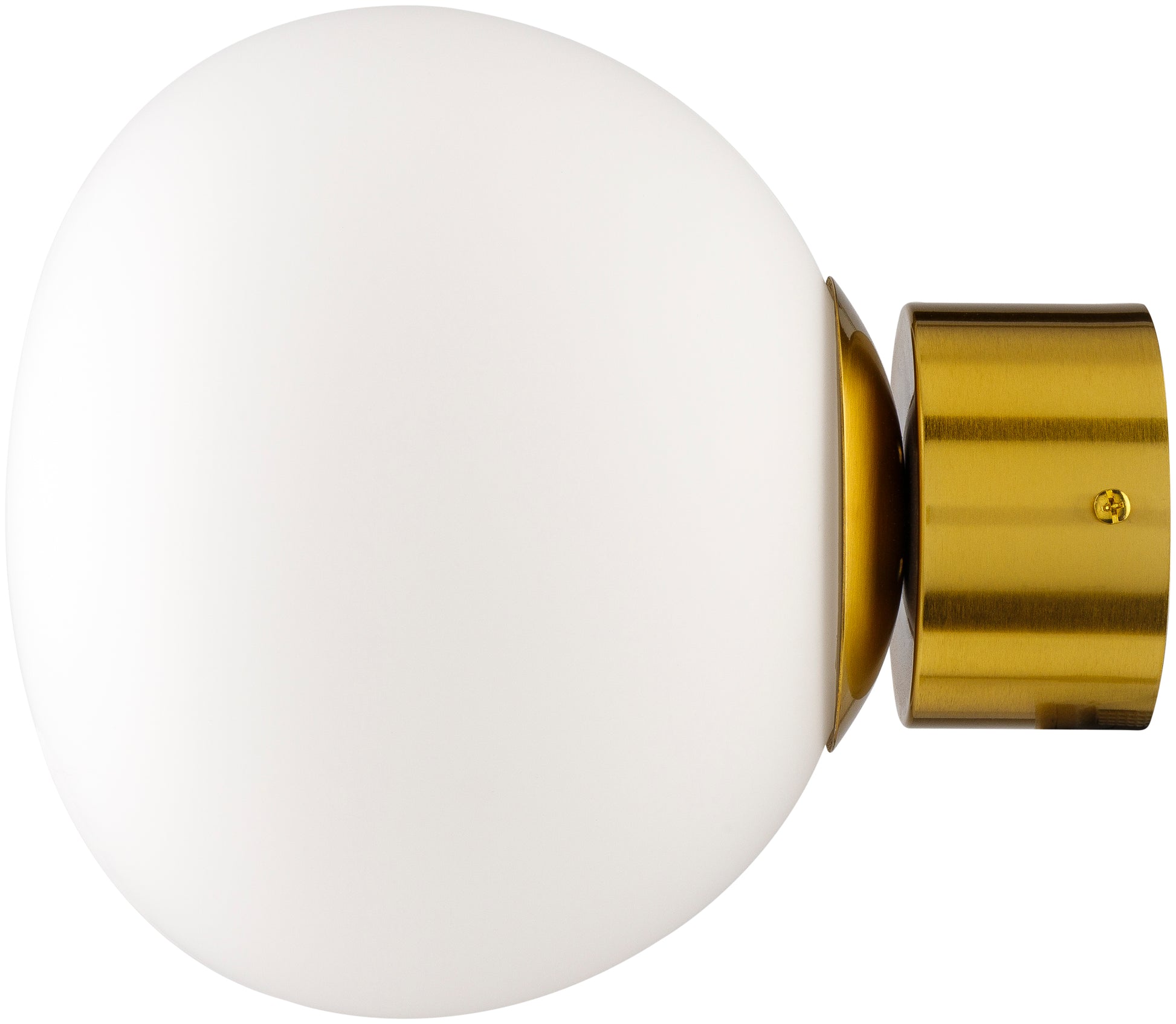 Theo Globe Sconce