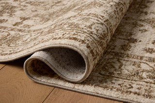 Haywood Ivory / Taupe Rug
