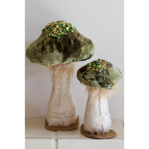 Forest Mushrooms