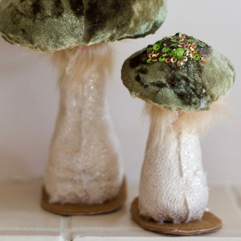 Forest Mushrooms