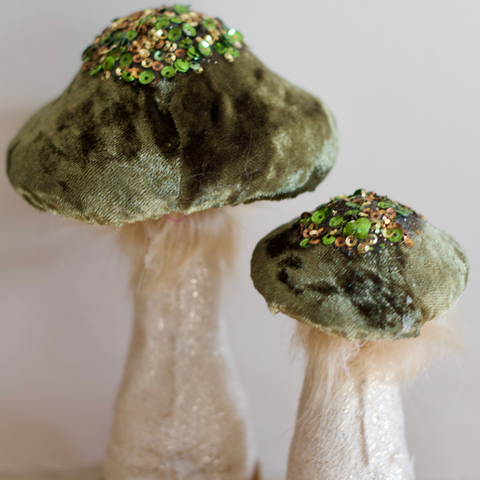 Forest Mushrooms