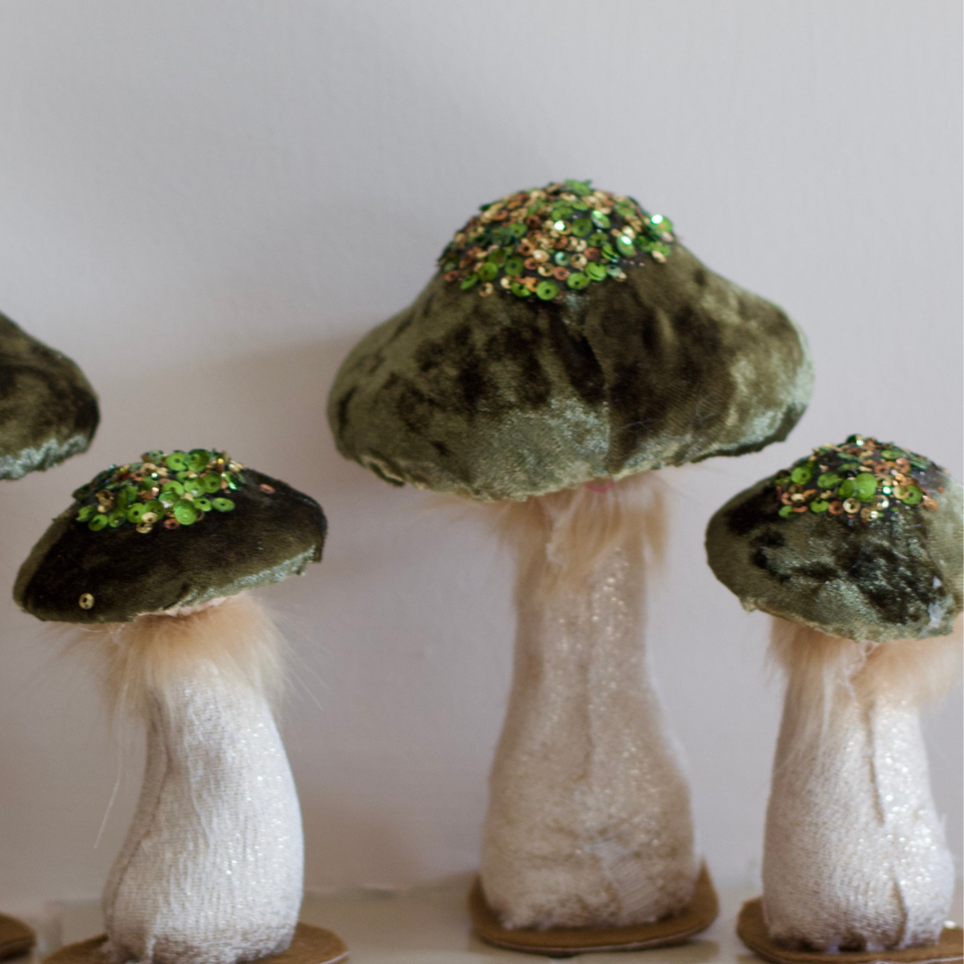 Forest Mushrooms
