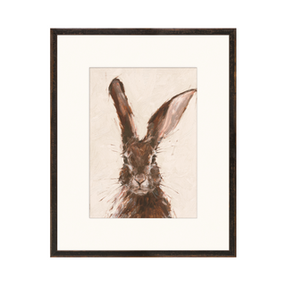 Brown Bunny