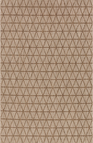Isle Beige / Mocha Rug