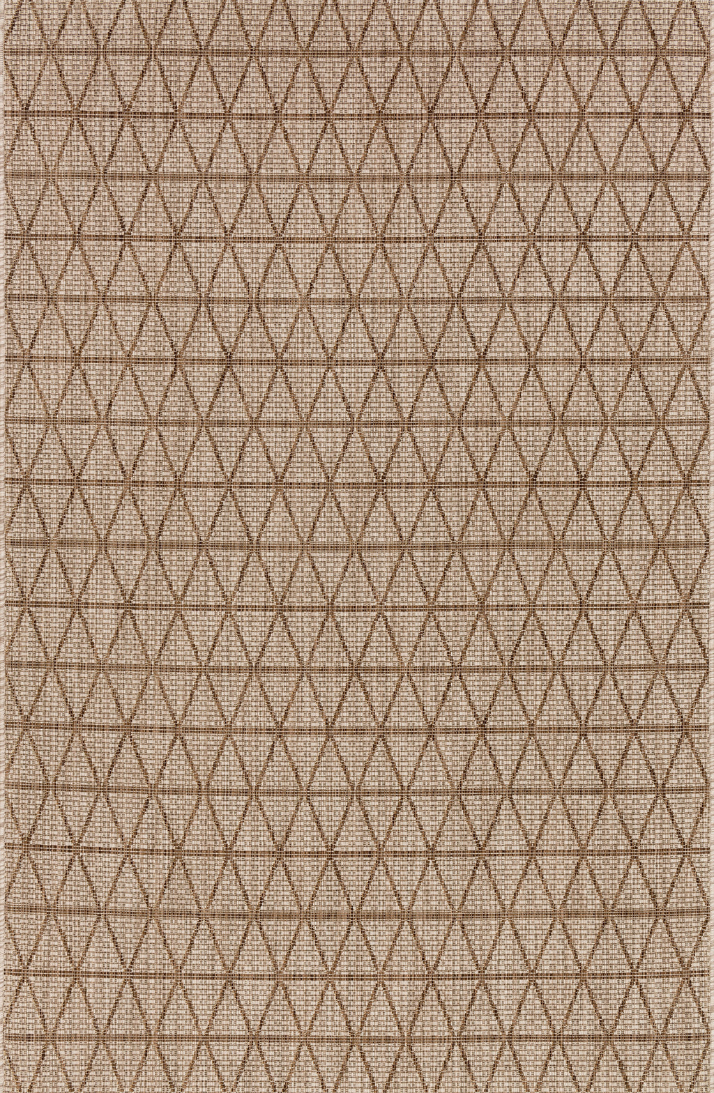 Isle Beige / Mocha 9'-2" x 12'-1" Area Rug - IE-04 - 9'-2" x 12'-1"