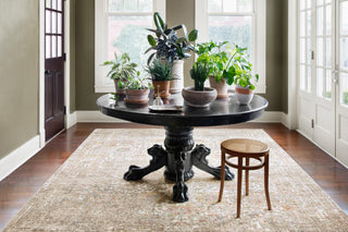 Magnolia Home by Joanna Gaines x Loloi Linnea Multi / Taupe Rug