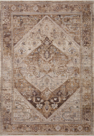 Lyra Natural / Mocha Rug