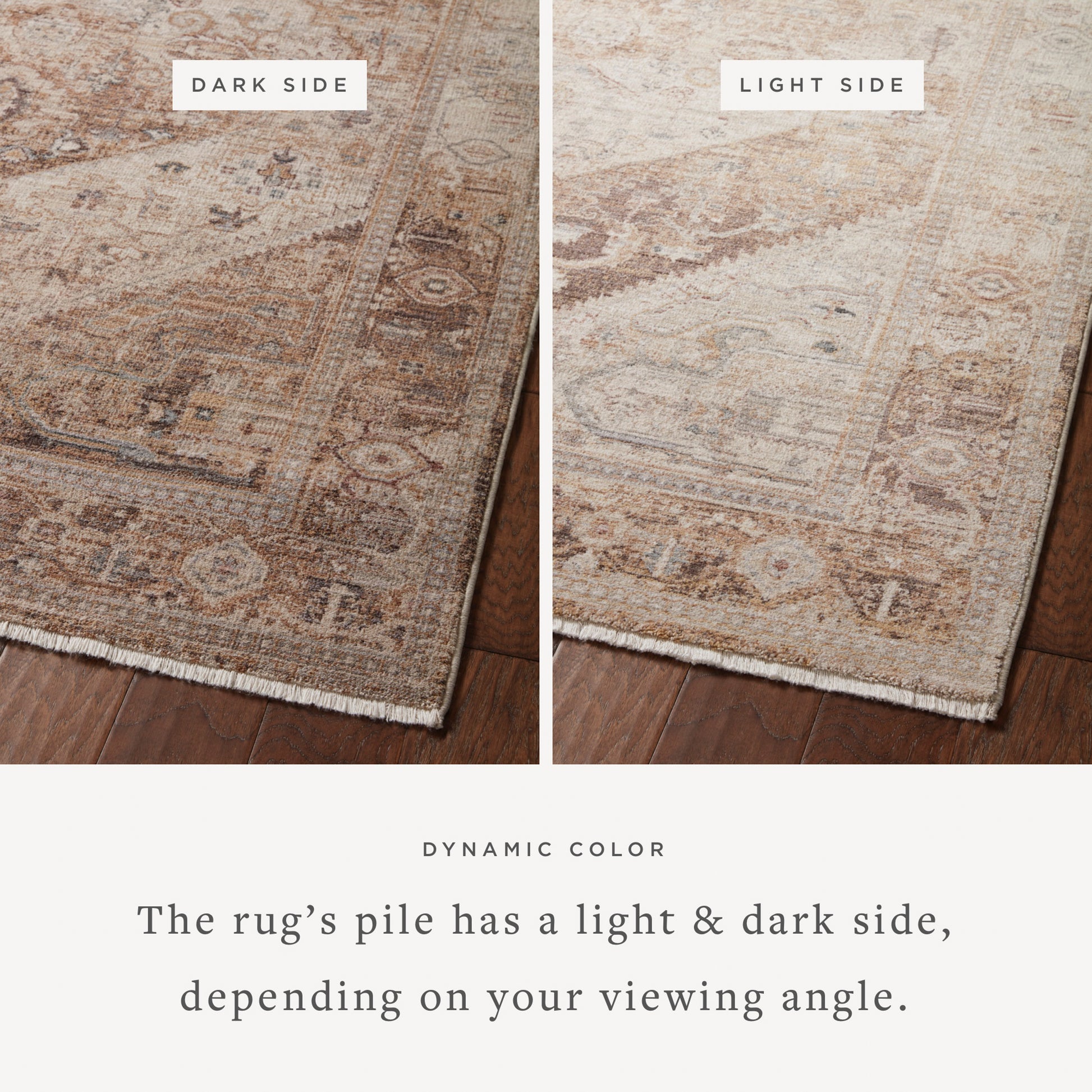 Lyra Natural / Mocha Rug