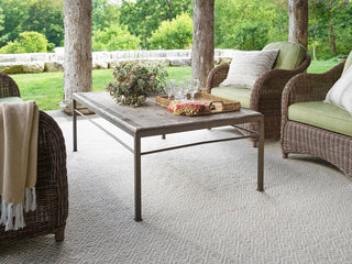 Annabelle Grey Handwoven Indoor/Outdoor Rug - RDB270 - 10x14