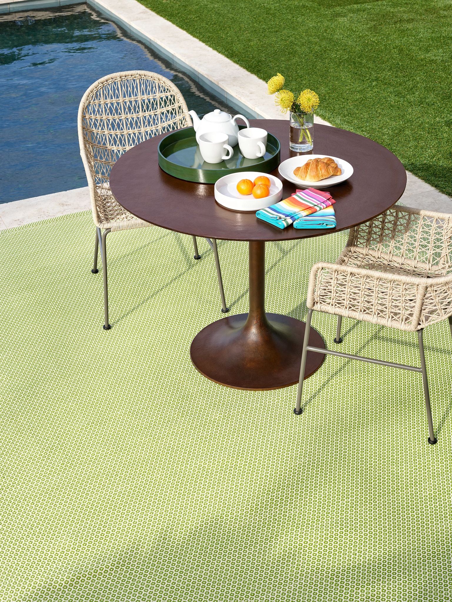 Finn Sprout Handwoven Indoor/Outdoor Rug - DA2145 - 10x14