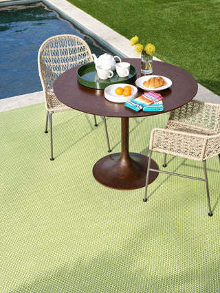 Finn Sprout Handwoven Indoor/Outdoor Rug - DA2145 - 10x14
