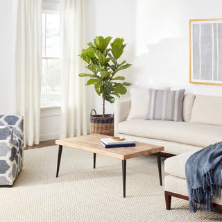 Hooper Ivory Handwoven Wool Rug - DA1189 - 10x14