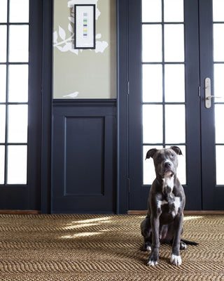 Wave Natural Woven Sisal Rug - RDA433 - 10x14