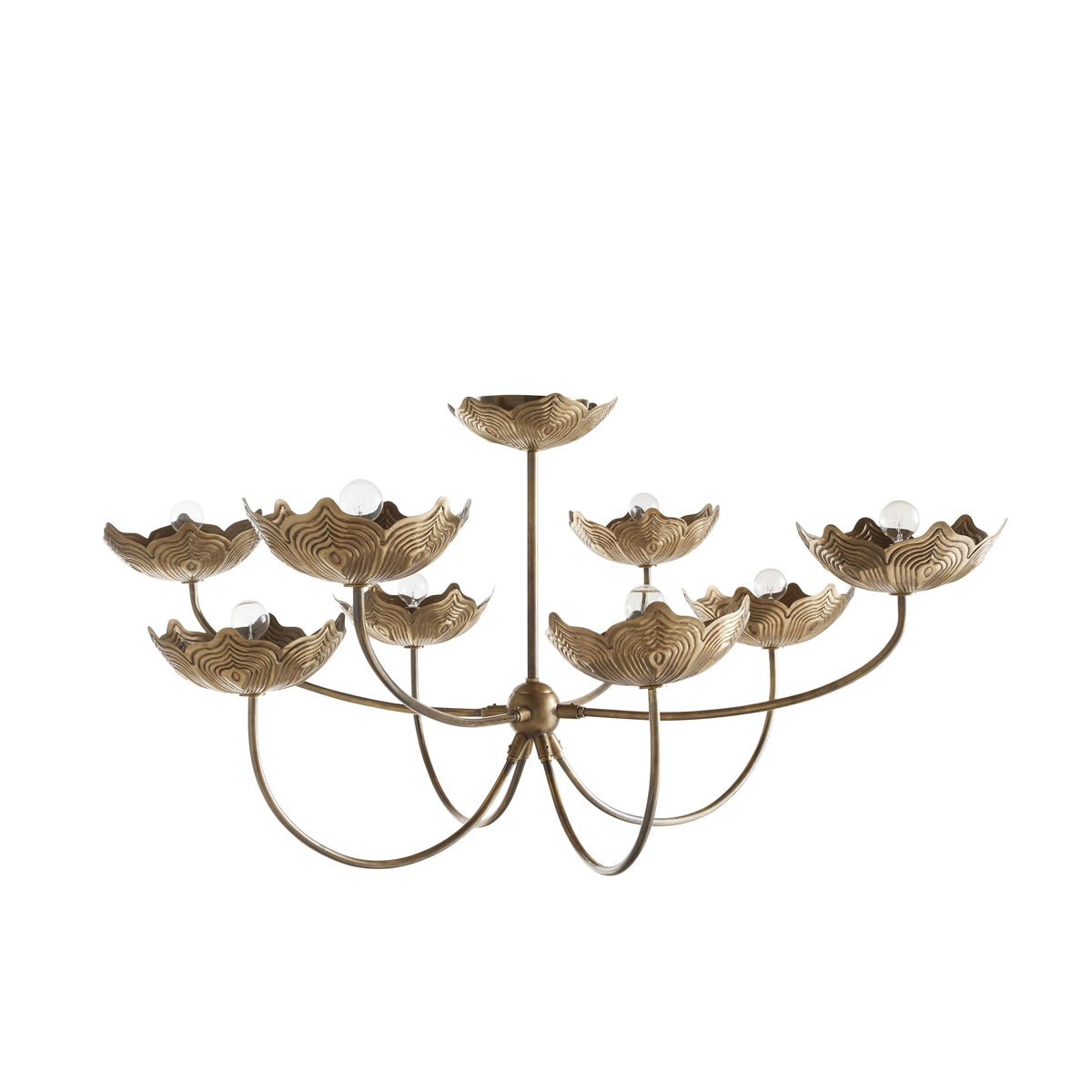 Encinitas Chandelier