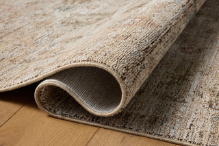 Priscilla Ivory / Multi Rug