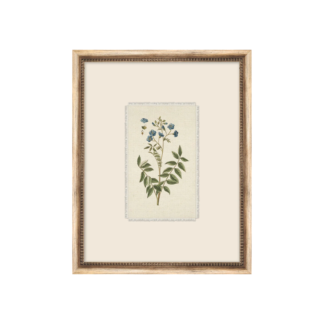 Petite Floral II