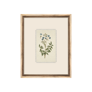 Petite Floral II