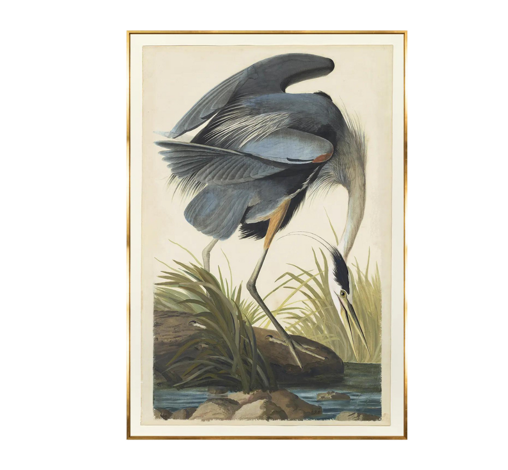 Blue Heron