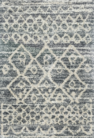 Quincy Graphite / Beige Rug