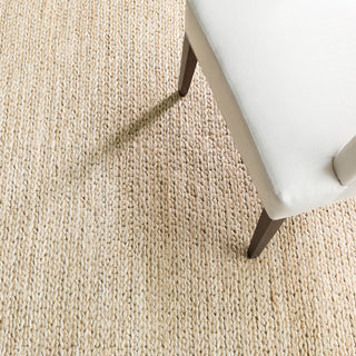 Jute Handwoven Natural Rug - RDA262 - 10x14