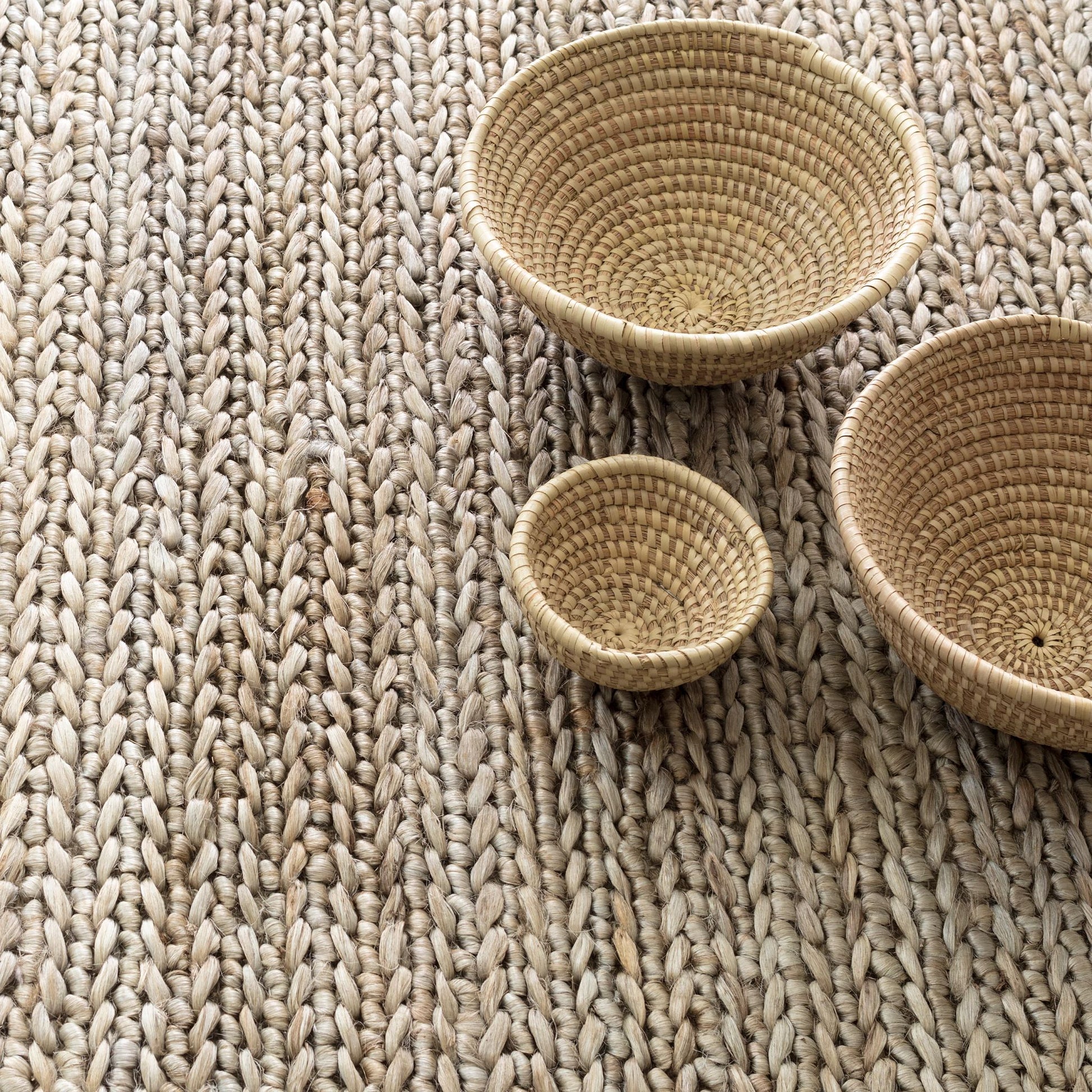 Jute Handwoven Seaglass Rug - RDA445 - 10x14