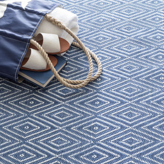 Diamond Denim/White Handwoven Indoor/Outdoor Rug - RDB098 - 8.5x11