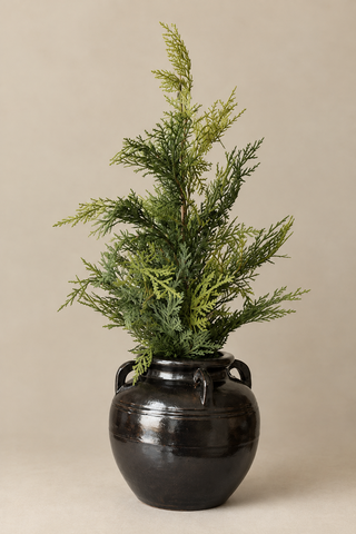 Small Evergreen Tree 24"