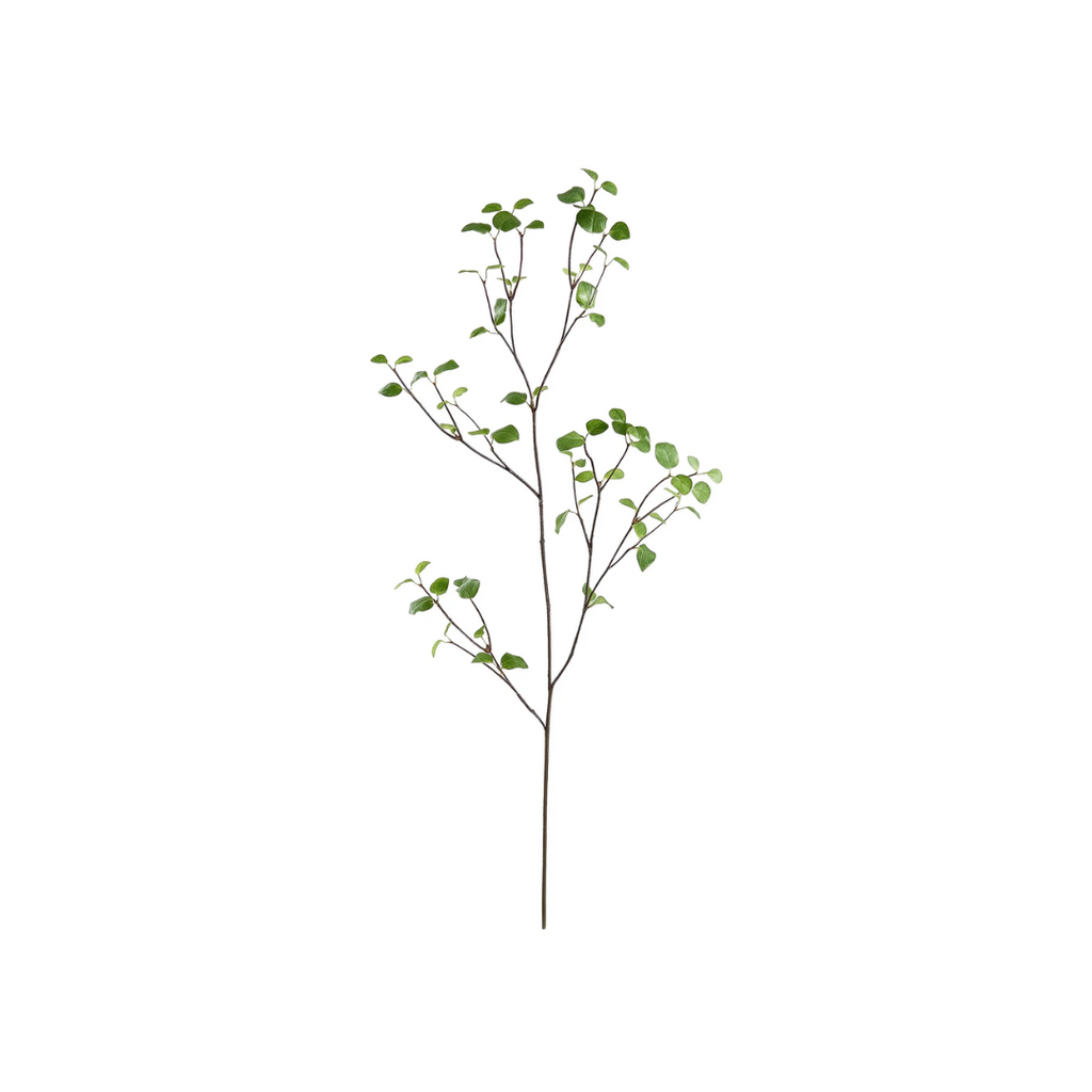 61" Bay Leaf Spray