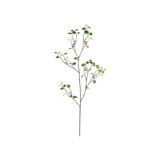 61" Bay Leaf Spray