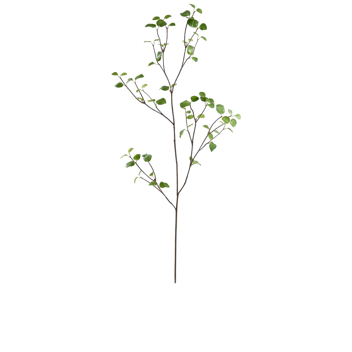 61" Bay Leaf Spray