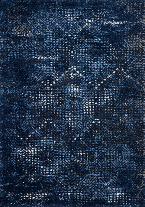 Viera Dark Blue / Light Blue 8'-11" x 12'-5" Area Rug - VR-08 - 8'-11" x 12'-5"