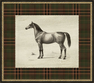 Ralph Horse Print