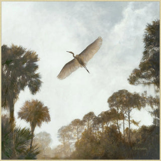 The Heron's Flight