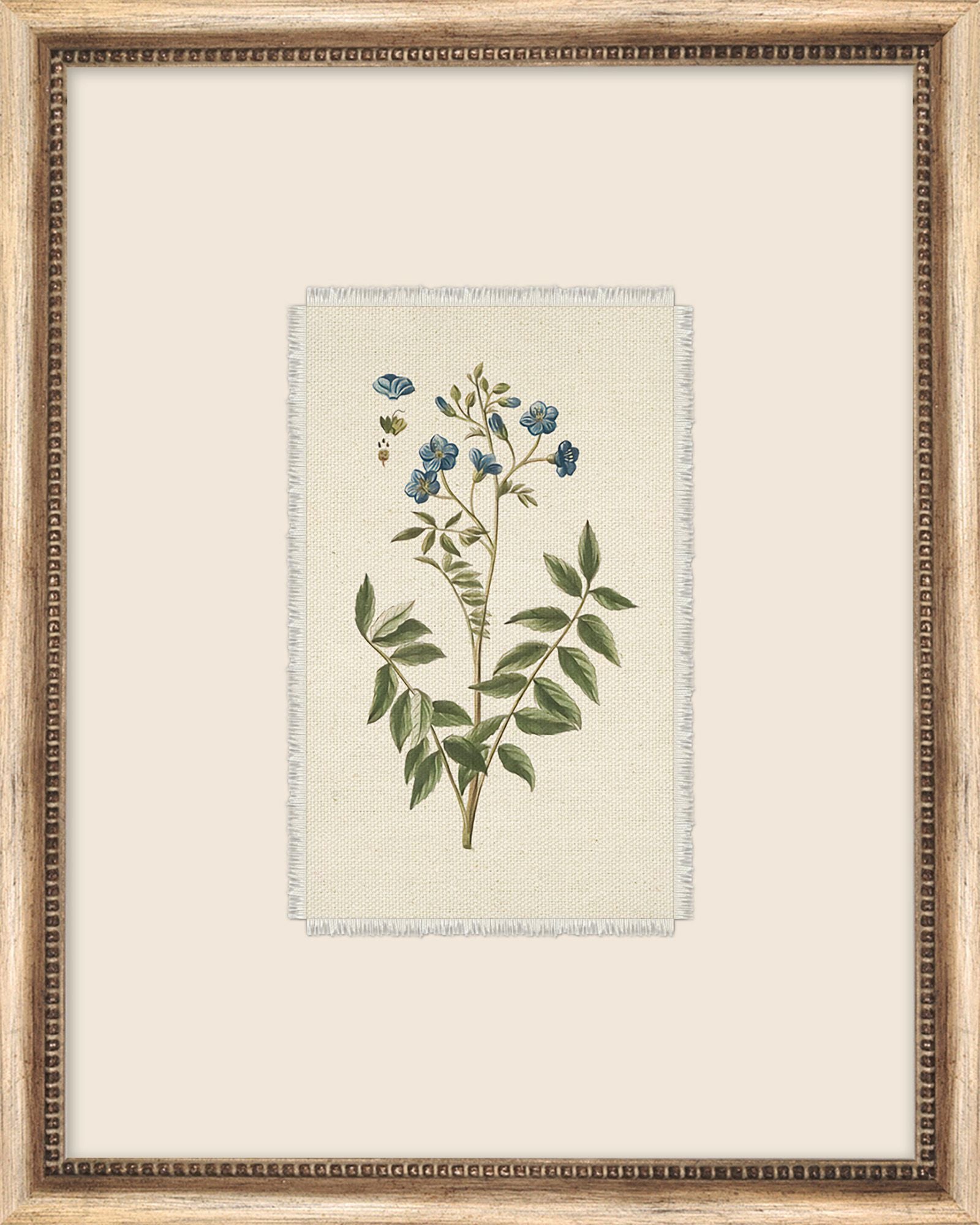 Petite Floral II