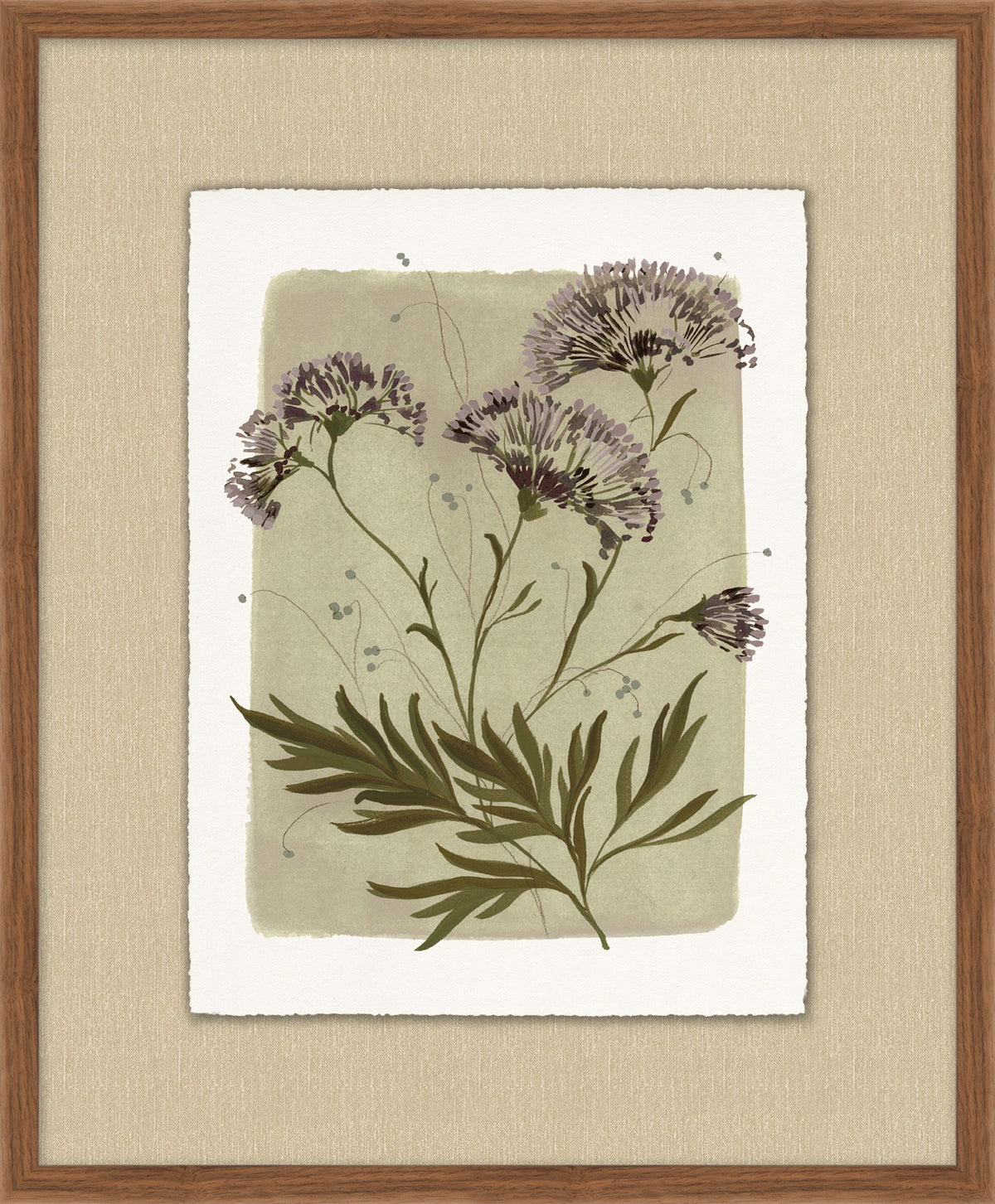 Flora III