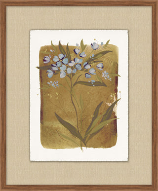 Flora I