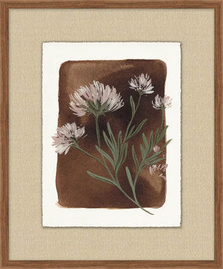 Flora II