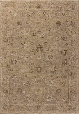 Willa Taupe / Natural Rug