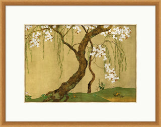 Cherry Blossom Sway
