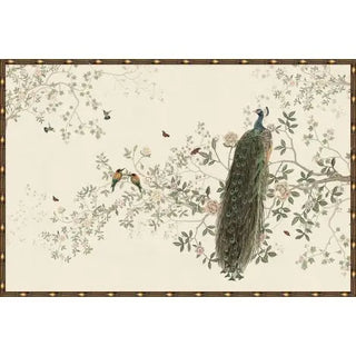 Peacock In Bloom