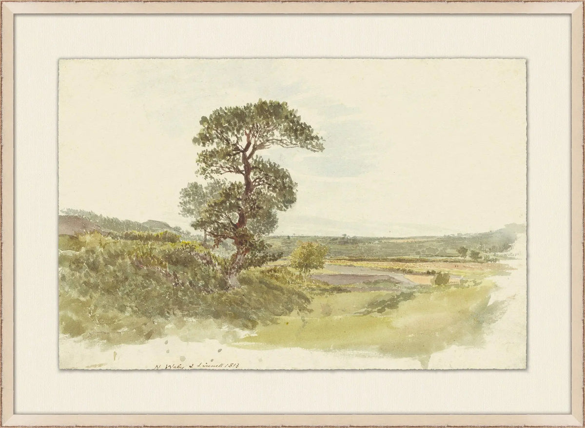 Scenic Rural Sketch