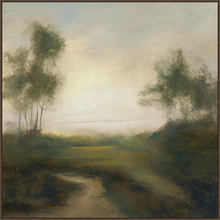 Stream at Dawn