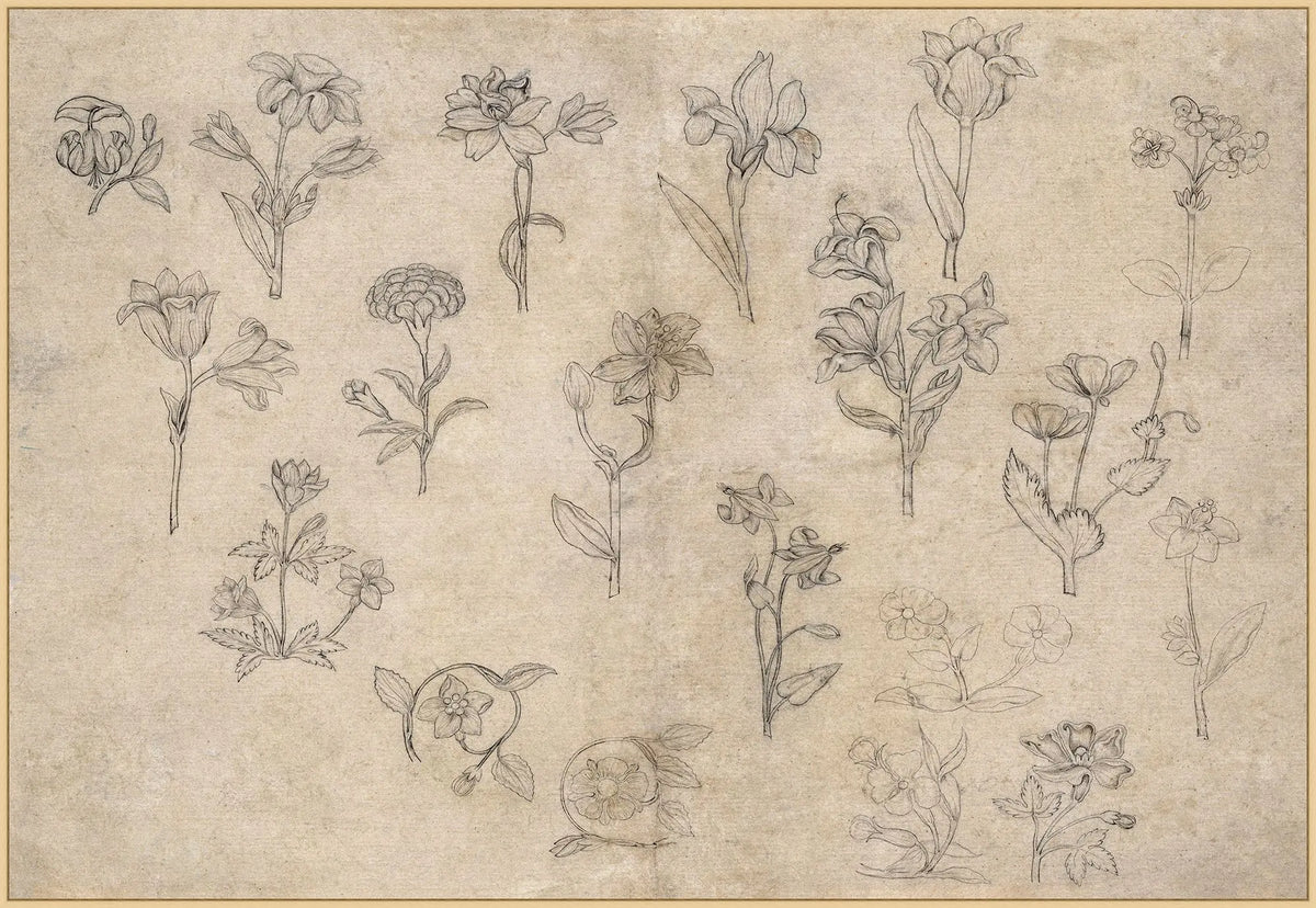 Study of Blossoms
