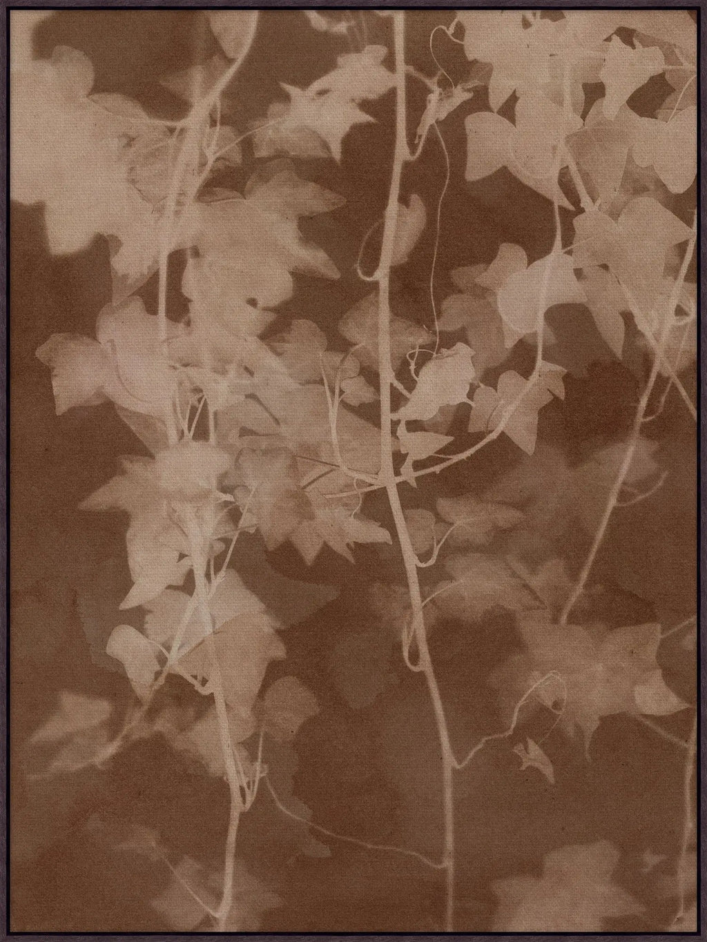 Shady Oak