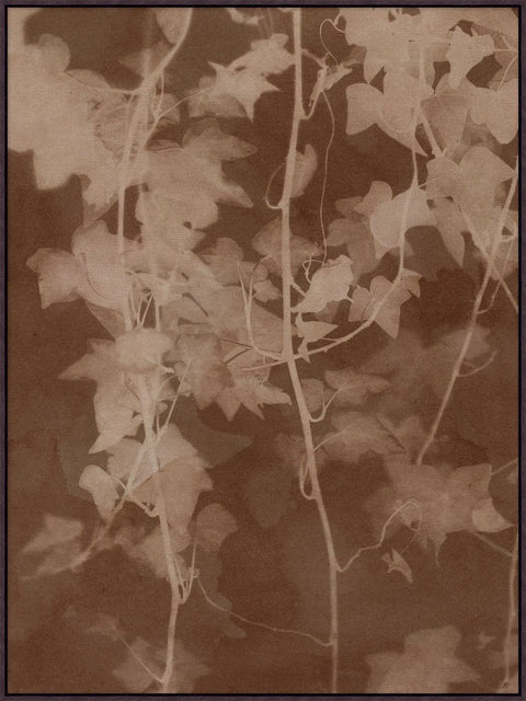 Shady Oak